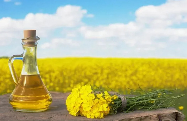 Рапсовое Масло В Магазинах Москвы Рапсовое Масло В Магазинах Москвы
